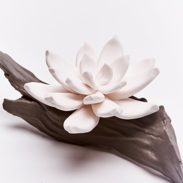 Diffuseur Fleur porcelaine et céramique 1