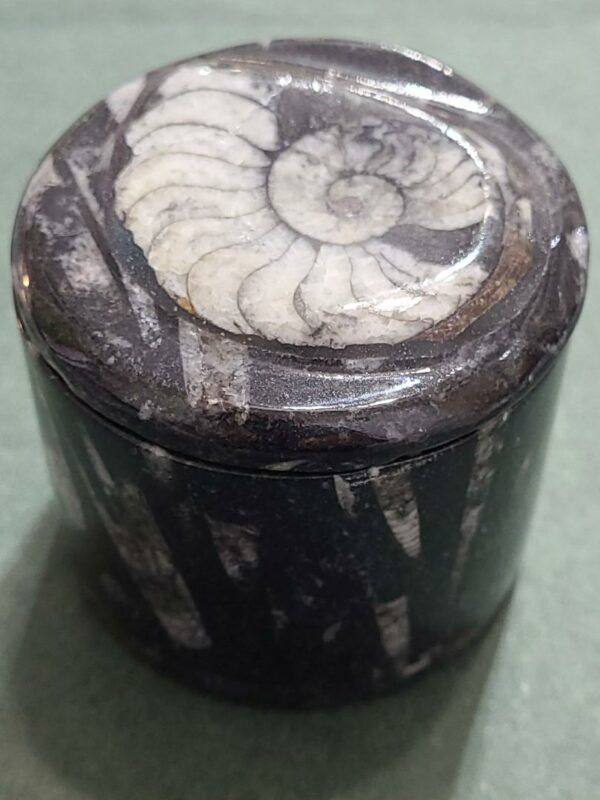 Boite marbre noir avec fossiles Orthocéras et Amonites 1