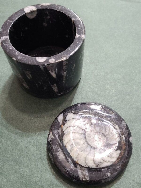 Boite marbre noir avec fossiles Orthocéras et Amonites 2